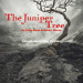 “The Juniper Tree” and why I have to produce the opera